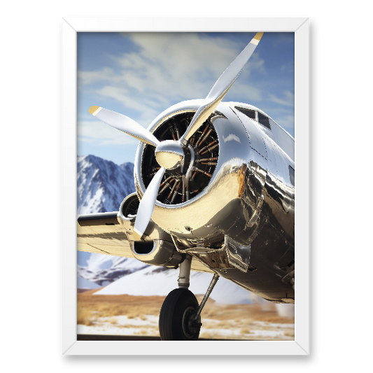 Quadro avião vintage clássico