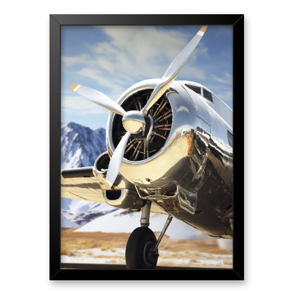 Quadro avião vintage clássico