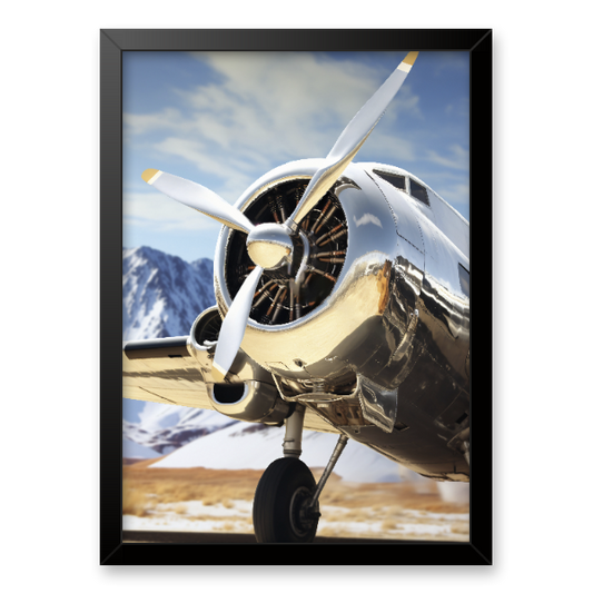 Quadro avião vintage clássico