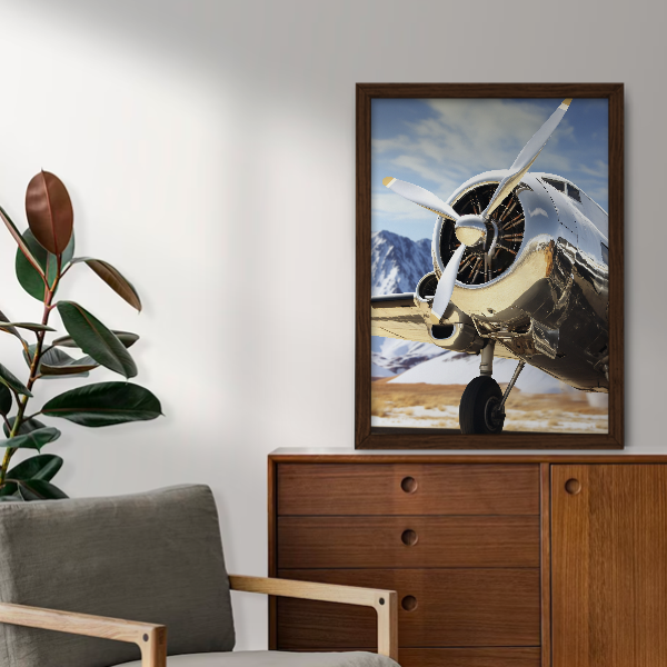 Quadro avião vintage clássico