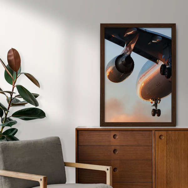 Quadro avião voando