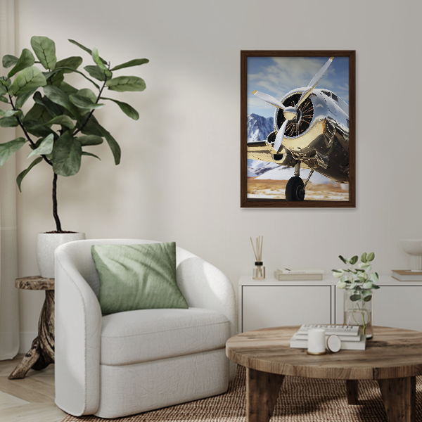 Quadro avião vintage clássico