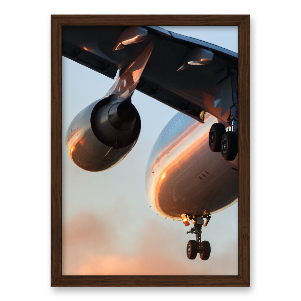 Quadro avião voando