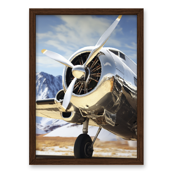 Quadro avião vintage clássico